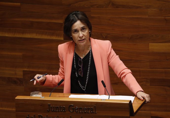 Dolores Carcedo en el pleno de la Junta. 