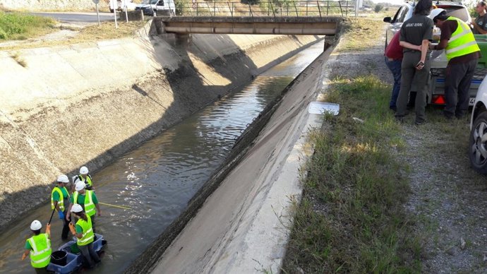 Trabajadores vacían el canal de Balaguer, ya efectuado