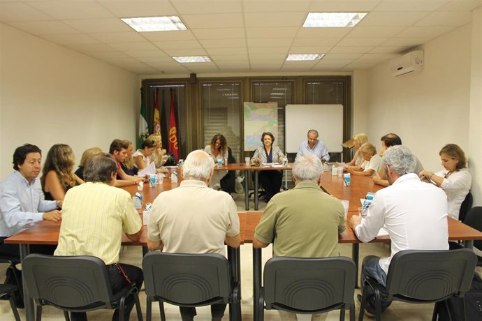 Pleno de Los Remedios.