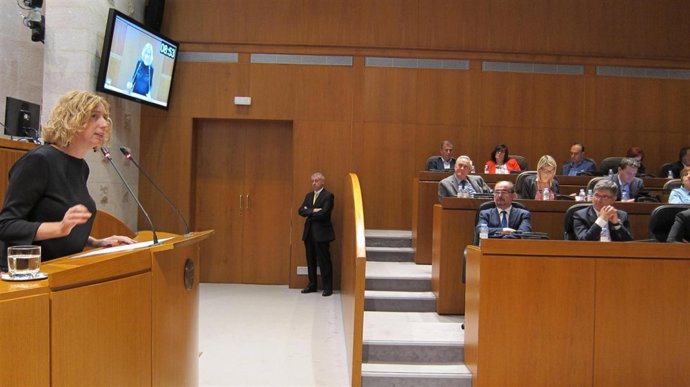 Patricia Luquin (IU), interviniendo en el Debate sobre el Estado de la Comunidad