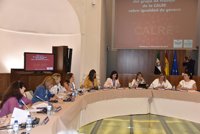 Responsables del Parlamento de Canarias debaten en la Asamblea sobre la presencia de la mujer en instituciones africanas