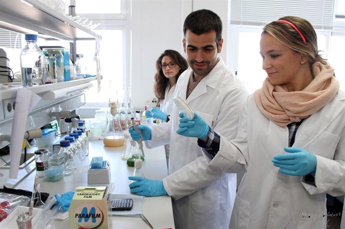 Técnicos de laboratorio experimentan con microalgas