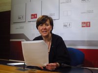 PSOE afirma que Page "tiene una hoja de ruta clara para C-LM"