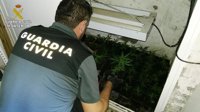 Desmantelados punto de droga, tres plantaciones de marihuana y cuatro detenidos en Córdoba