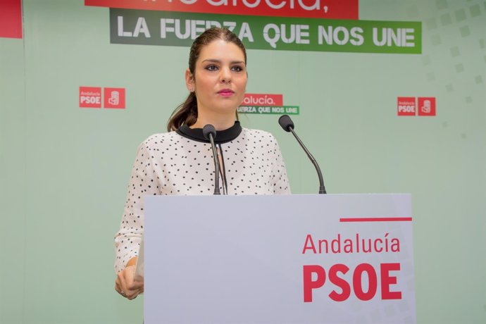 La parlamentaria del PSOE Noemí Cruz