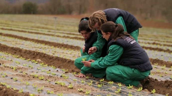 Ndp La Obra Social “La Caixa” Destina 79.360 Euros A Cuatro Proyectos Que Ayudar