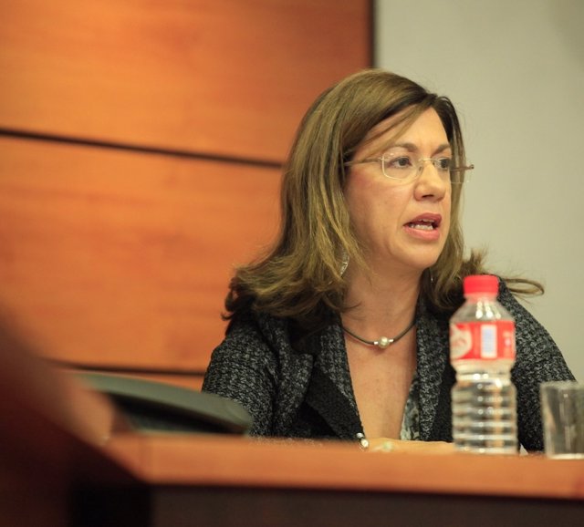 Cristina Gómez, Cermi