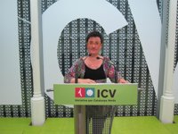 ICV cree que fijar la pregunta del referéndum sería "un flaco favor" para sumar apoyos