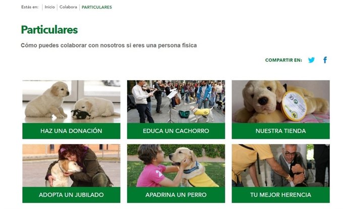 Nota. Los Perros Guía De La ONCE Estrenan Web E Invitan A Colaborar En Su Labor