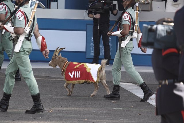 La cabra de la Legión en el Desfile del 12 de Octubre