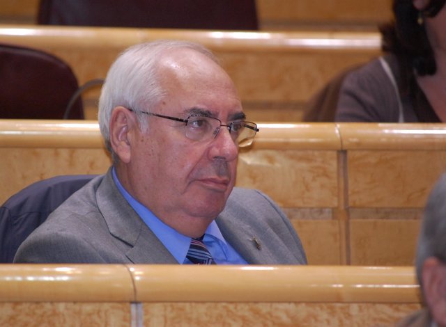 Vicente Álvarez Areces, en el Senado
