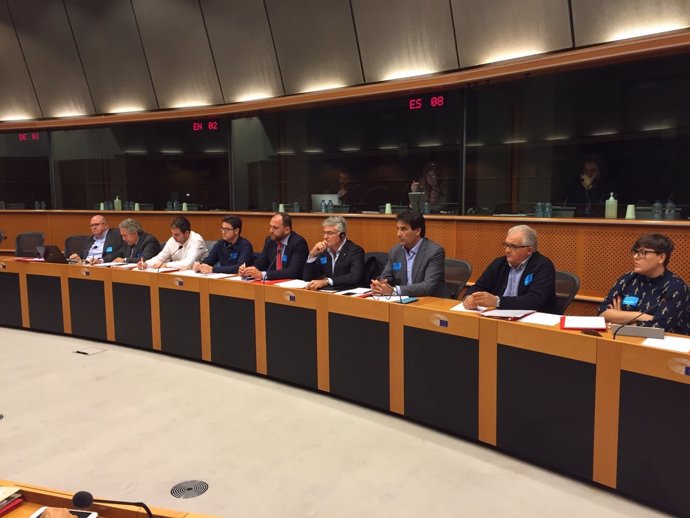 La delegación del PSOE-RM, en el Parlamento Europeo 