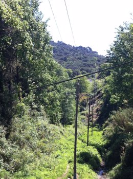 Endesa ha renovado 60 postes eléctricos de una línea de Tordera