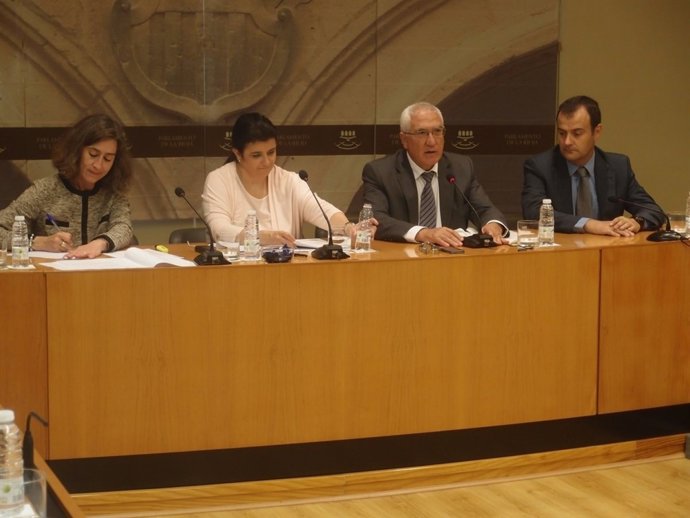 Comparecencia del consejero Abel Bayo