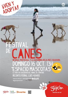 Cartel festival de canes.
