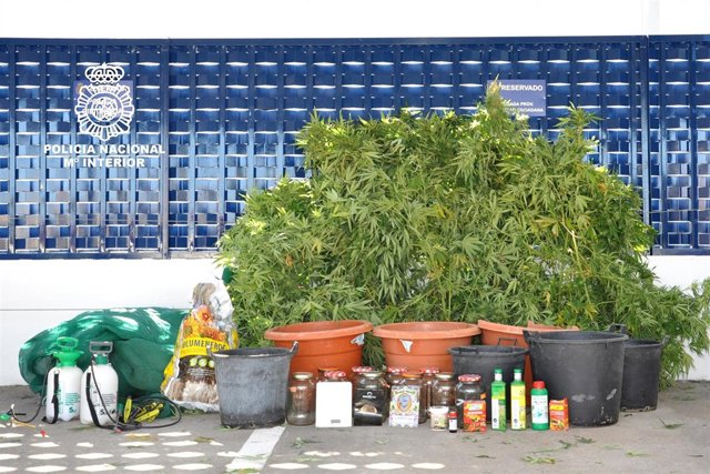 Rmtdº NOTA DE PRENSA POR TRÁFICO DE DROGAS