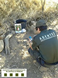 Agentes Medioambientales desarticulan varias redes dedicadas al furtivismo