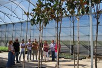 El vivero de Don Benito suministra 100.000 plantas a 160 municipios