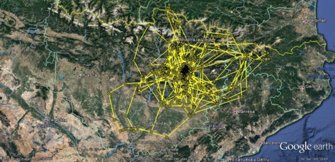 Localizador GPS para seguir los viajes de 'Gaco', un buitre leonado en Cataluña