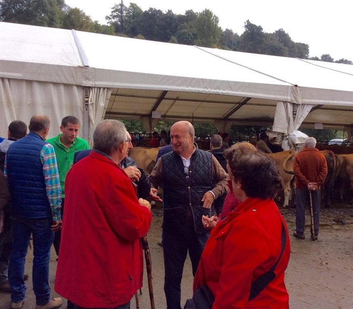 Luis Venta (PP) en la feria ganadera de Infiesto.