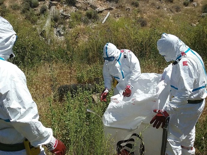 Restos de amianto en arroyo Ramabujas 