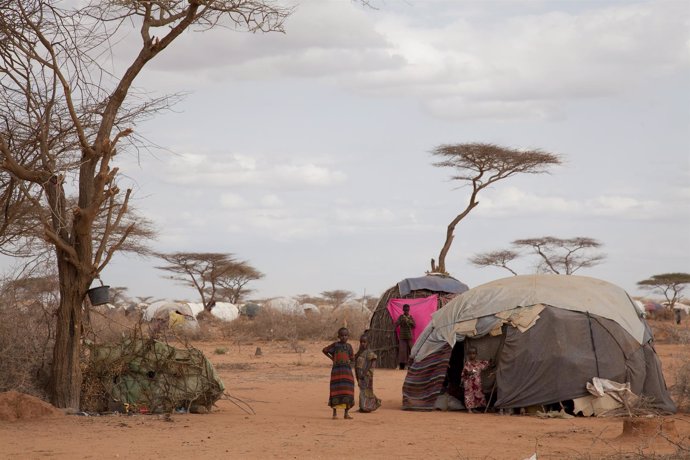 Refugiados somalíes en Dadaab