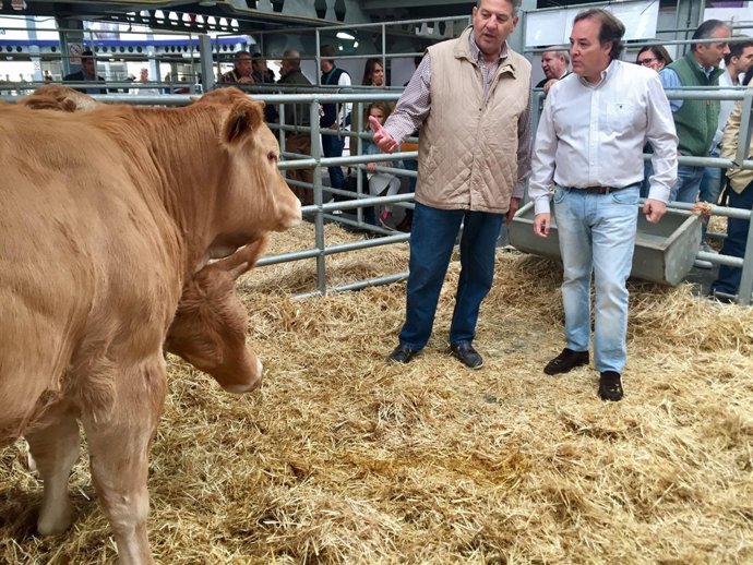 Gonzalez Taboada en subasta de ganado