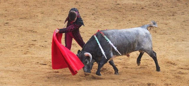 Lance en una corrida de toros