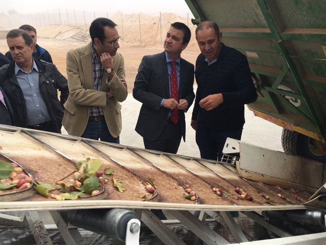 Martínez Arroyo pistacho