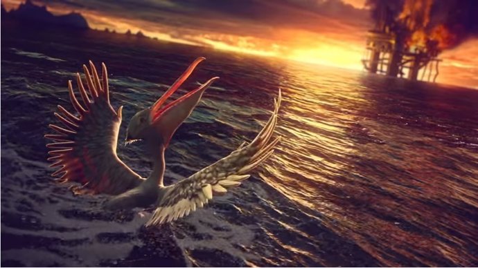 Anuncio del Wildlife Conservation Film Festival