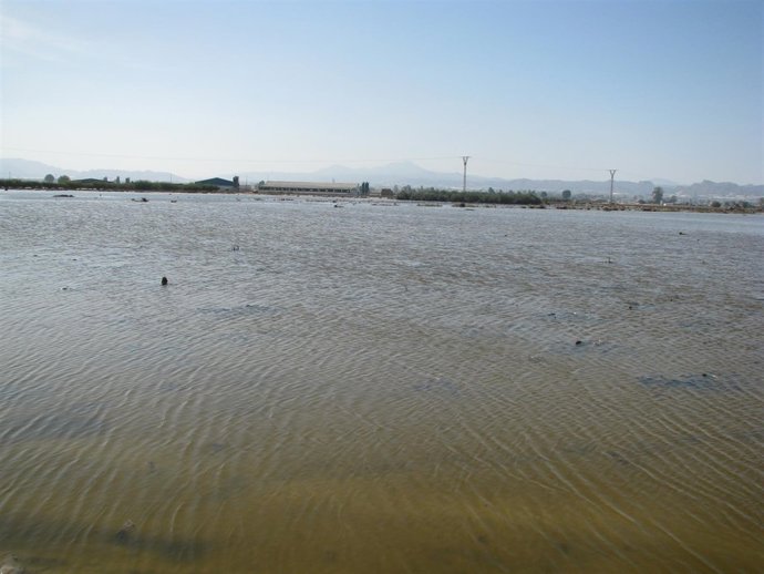 NOTA Y FOTOS: La CHS Analiza En Una Jornada Cómo Mejorar La Gestión De La Inform
