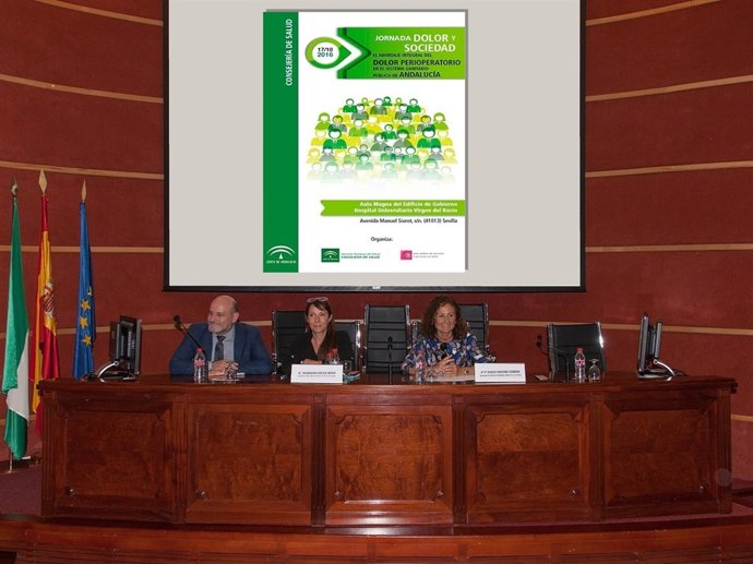 Profesionales debaten sobre la mejor atención a personas con dolor en Andalucía