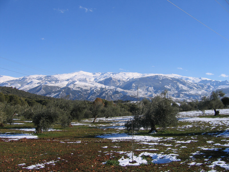 Maravillas naturales: Sierra Nevada