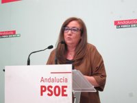 PSOE-A: Lo que decida el Comité Federal sobre la investidura "es ley" para el partido