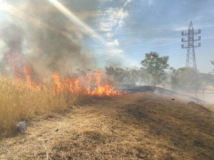 Imágenes del incendio en la zona cercana al parque