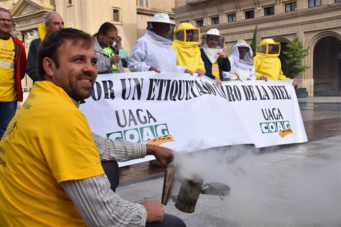 Los apicultores aragoneses se han manifestado hoy en Zaragoza.