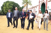 Sevilla, Córdoba, Granada y Málaga se suman a la candidatura de los paisajes del olivar a Patrimonio de la Humanidad