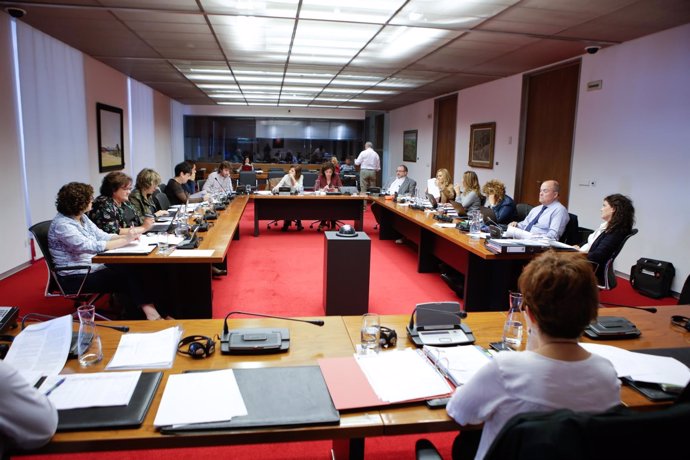 Comisión de Derechos Sociales del Gobierno de Navarra
