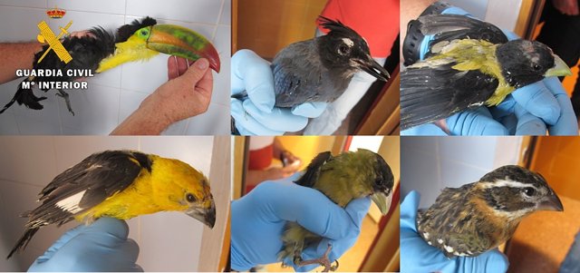 Nota De Prensa. Guardia Civil Burgos