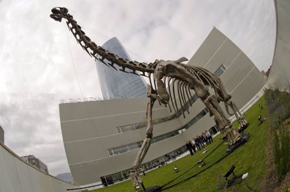 El esqueleto a escala real del dinosaurio más grande de Europa se expone en  Bilbao