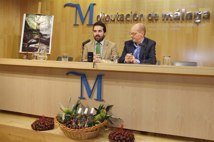 Fiesta vino y castaña Yunquera Diputación