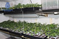 La Policía encuentra una plantación de marihuana en un bajo de Valencia tras declararse un incendio