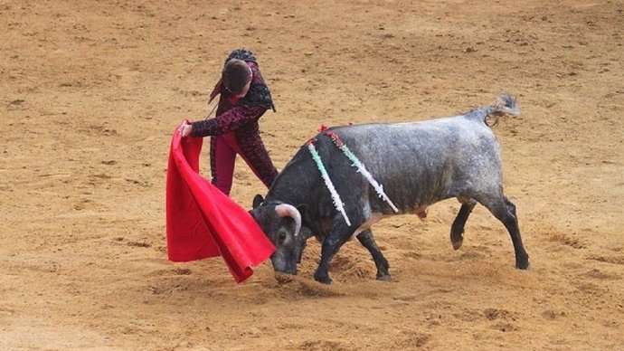 El TC devuelve las corridas de toros a Cataluña