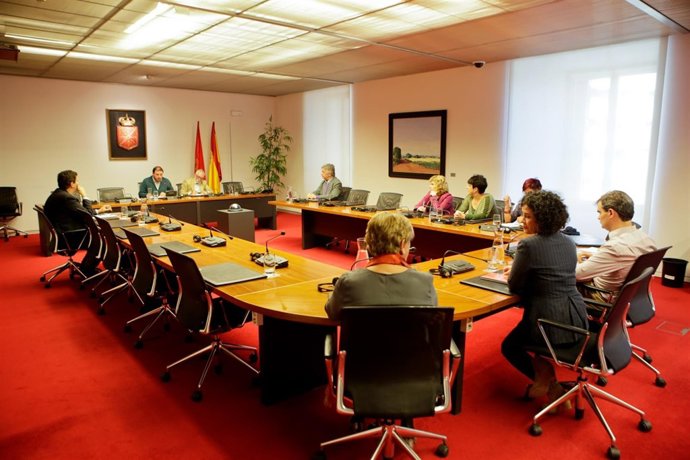 Comisión de investigación sobre CAN en el Parlamento