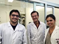 Identifican un posible marcador biológico del trastorno esquizofrénico