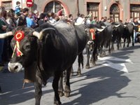 Oria acusa a Asociación de Tudanco de estar "politizada"