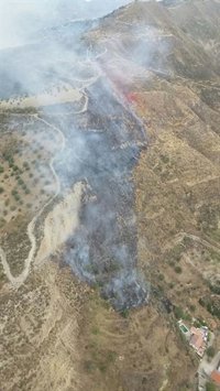 Declarado un incendio forestal en un paraje de Pinos Genil (Granada)