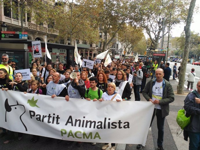 Manifestación antitaurina en Barcelona