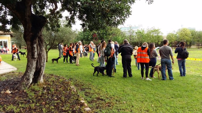 Jornada de puertas abiertas en el centro de protección animal de son reus