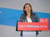 Cancela cree que es "un error" que el Comité Federal del PSOE apueste por la abstención